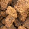 CHAGA DRIED MUSHROOM ONLINE US | CHAGA MAGIC MUSHROOM