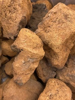 CHAGA DRIED MUSHROOM ONLINE US | CHAGA MAGIC MUSHROOM