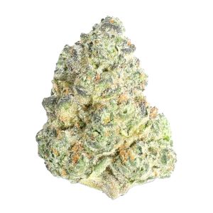 BADDIE STRAIN US
