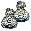BAGBOYZ COINS US