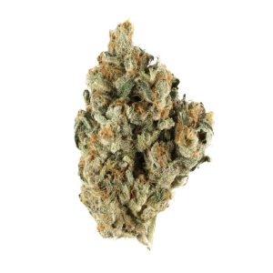 BENJI STRAIN US | Buy Premium Benji Weed Strain US