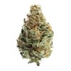 CLOUD 9 STRAIN US