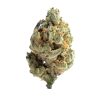 GELATO STRAIN US