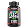 Hemp Bombs, High Potency CBD Gummies, Isolate THC-Free, 100ct, 3000mg CBD – THC PENS US