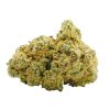 HOLLYWOOD STRAIN US
