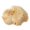 HEDGEHOG DRIED MUSHROOM US | BUY HEDGEHOG MUSHROOM ONLINE