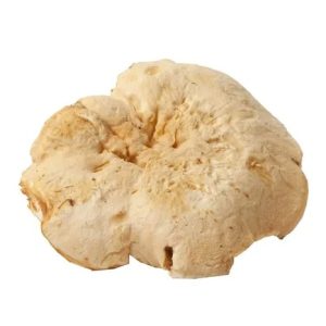 HEDGEHOG DRIED MUSHROOM US | BUY HEDGEHOG MUSHROOM ONLINE