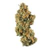 MALIBU STRAIN US