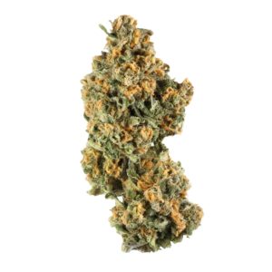 MALIBU STRAIN US