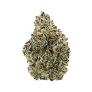 MIMOSA STRAIN US