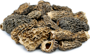 MOREL DRIED MUSHROOM US | BUY MOREL MAGIC MUSHROOM ONLINE