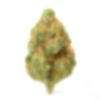 MYSTERY STRAIN US