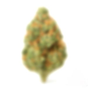 MYSTERY STRAIN US