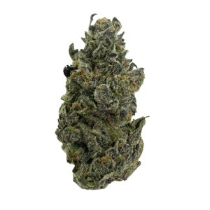 NORTHERN LIGHTS STRAIN US