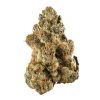 OG KUSH STRAIN US