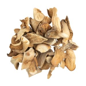 OYSTER DRIED MUSHROOM US | OYSTER MAGIC DRIED MUSHROOM US