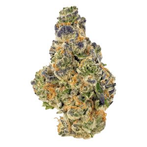 PURPLE PUNCH STRAIN US