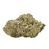RUNTZ STRAIN US