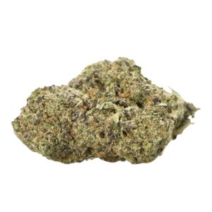 RUNTZ STRAIN US