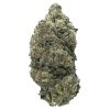 STARDAWG STRAIN US