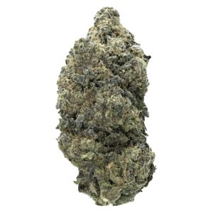 STARDAWG STRAIN US