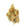 TANGERINE DREAM US