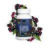 Wyld CBD, Elderberry Gummies, Broad Spectrum THC-Free, 40ct, 200mg CBN + 1000mg CBD – THC PENS US