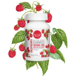 Wyld CBD, Raspberry Gummies, Broad Spectrum THC-Free, 40ct, 1000mg CBD – THC PENS US