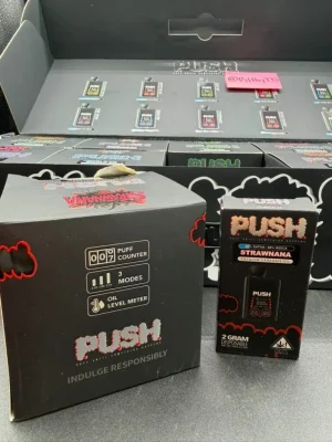 Push 2G Disposable Vape