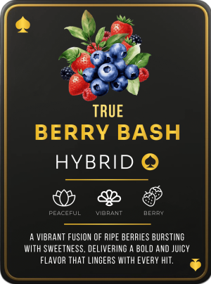 Ace Berry Bash 2g Ace Ultra Premium disposable vape
