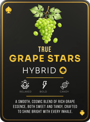 Ace Grape Stars 2g Ace Ultra Premium disposable vape