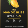 Ace Mango Bliss 2g Ace Ultra Premium disposable vape