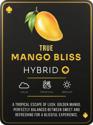 Ace Mango Bliss 2g Ace Ultra Premium disposable vape