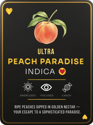 Ace Peach Paradise 2g Ace Ultra Premium disposable vape