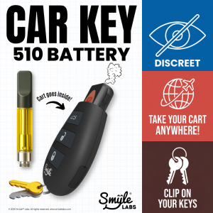 Car Key Penjamin by Smyle™ Labs