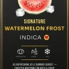 Ace Watermelon Frost