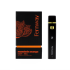 2G All-In-One Fernway Disposable Vape