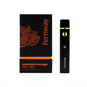 2G All-In-One Fernway Disposable Vape
