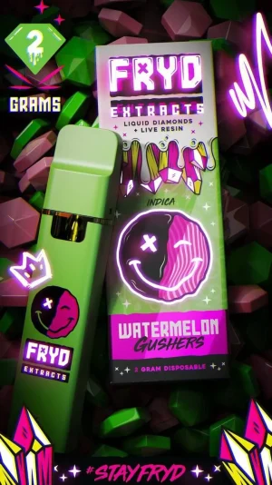 Fryd Watermelon Gushers Disposable