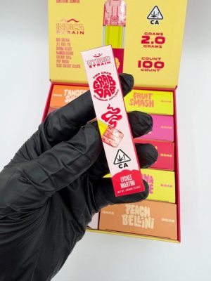 grab & dab 2g disposable Vape Pens
