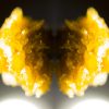 Packman Concentrate