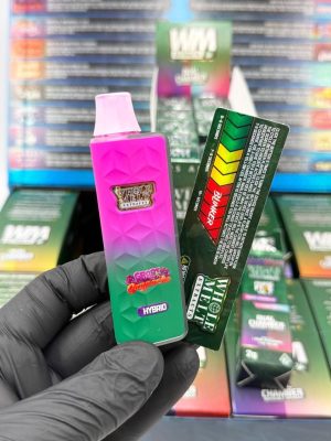 Whole Melt V5 2g Disposable