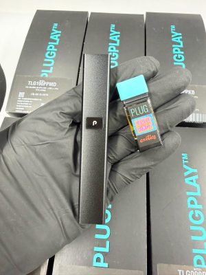 plug n play 2g disposable | vape pen disposable