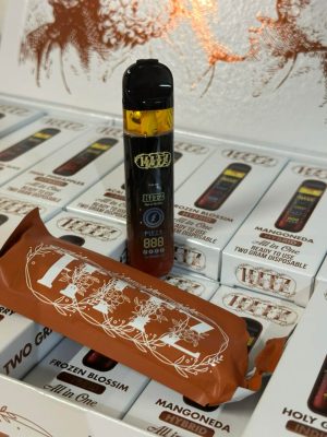 Hitz Infinity NYC Sour