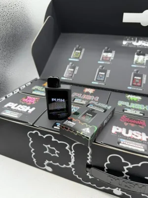 Push 2G Disposable Vape – view 2