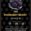 Ace Midnight Berry World Champions Edition 2G disposable