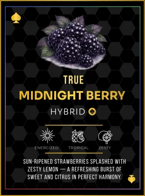 Ace Midnight Berry World Champions Edition 2G disposable