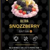 Ace Snozzberry World Champions Edition 2G disposable