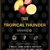 Ace Tropical Thunder World Champions Edition 2G disposable